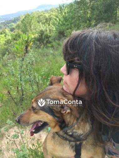 Cuido de vossos animais de estimação como se fossem meus :)