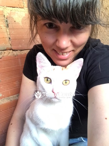 Cuido de vossos animais de estimação como se fossem meus :)