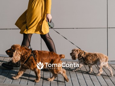 Fun Dog Walker