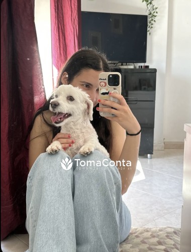 Pet Sitting (cães e gatos) Portimão