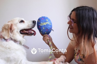 Pet Sitting e Pet Walking
