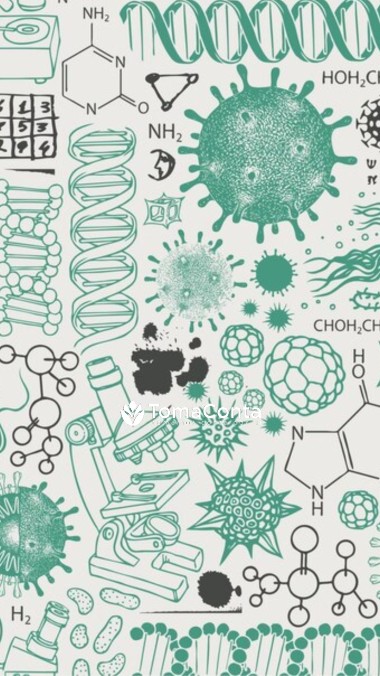 Explicações biologia e geologia 10/11 anos
