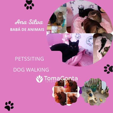 Ana Silva Babá de Animais