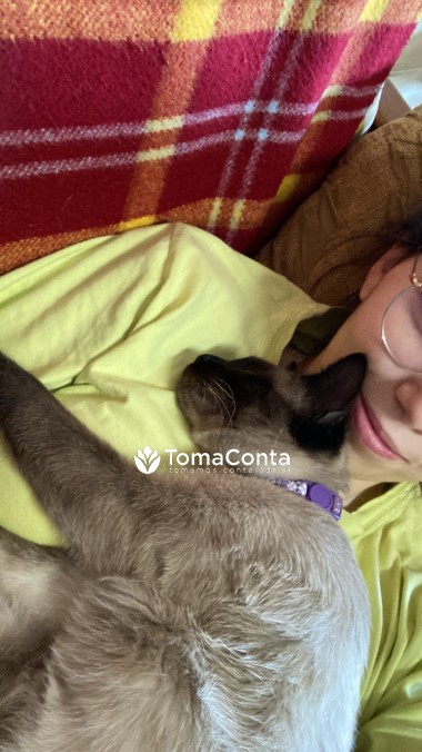 Cuido de cães e gatos