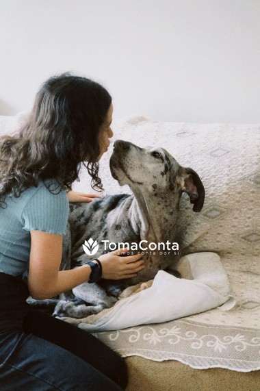 Dog Sitting e passeios