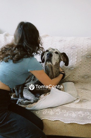 Dog Sitting e passeios
