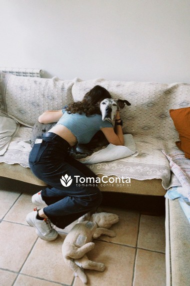 Dog Sitting e passeios