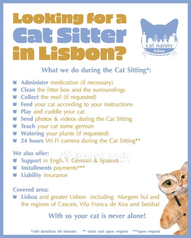 Cat Nanny Lisboa, connosco o seu gato ou a sua gata nunca ficam sozinhos!