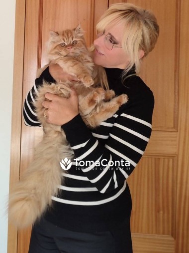 Pet Sitter na Covilhã
