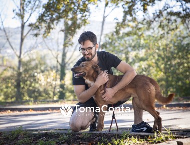 Patas e companhia