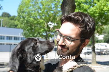 Patas e companhia