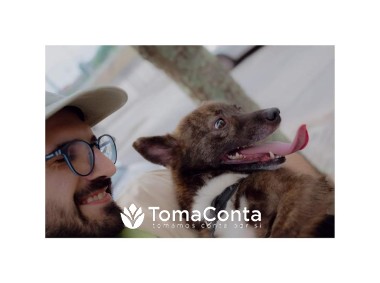 Patas e companhia