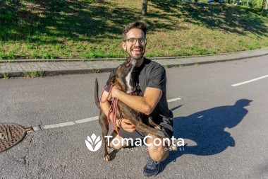 Patas e companhia