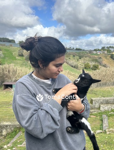 Pet sitting e dog walking - Cascais