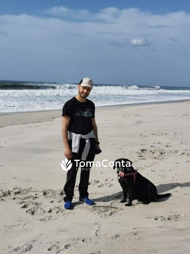 Pet Sitting / Dog Walking