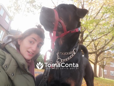 Pet Boarding, Work from Home pet lover