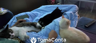 Pet Boarding, Work from Home pet lover