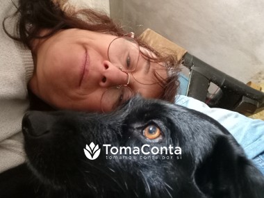Cuidados a animais de estimação