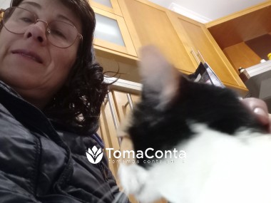 Cuidados a animais de estimação