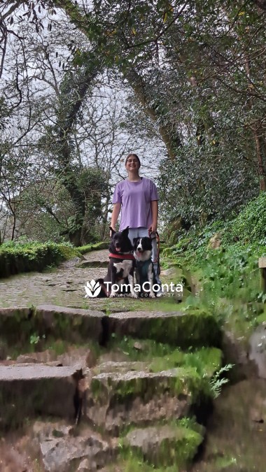 Pet sitting e Dog walking - Sintra, Oeiras, Cascais, Estoril e Lisboa