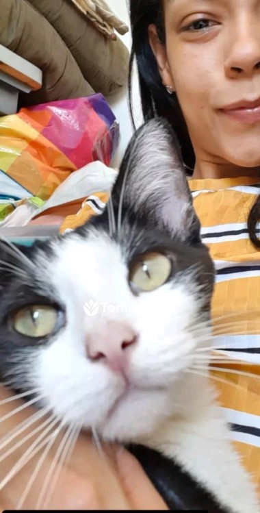 Ofereço serviços de petsitting para cães e gatos, com muito amor ❤️