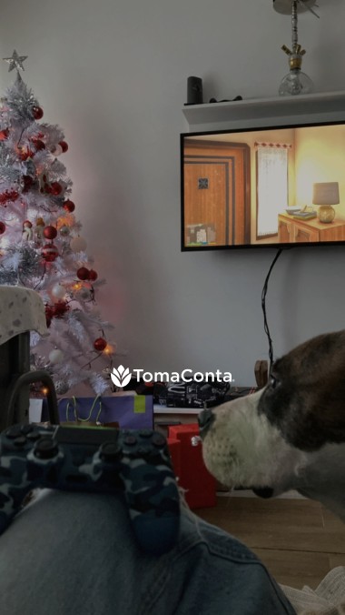 Pet sitting de Confiança para todos os Pets