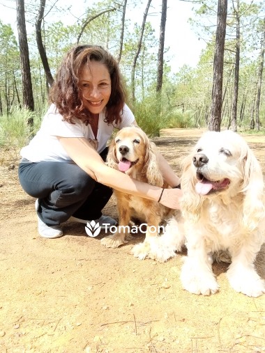 Dog Sitting profissional com enfoque no bem-estar e comportamento canino